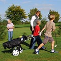 Barbara Eisner - Golflehrerin, Fully Qualified Professional