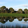 Barbara Eisner - Golflehrerin, Fully Qualified Professional