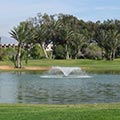 Barbara Eisner - Golflehrerin, Fully Qualified Professional