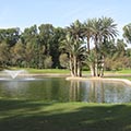 Barbara Eisner - Golflehrerin, Fully Qualified Professional