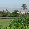 Barbara Eisner - Golflehrerin, Fully Qualified Professional