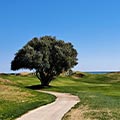 Barbara Eisner - Golflehrerin, Fully Qualified Professional