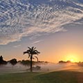 Barbara Eisner - Golflehrerin, Fully Qualified Professional